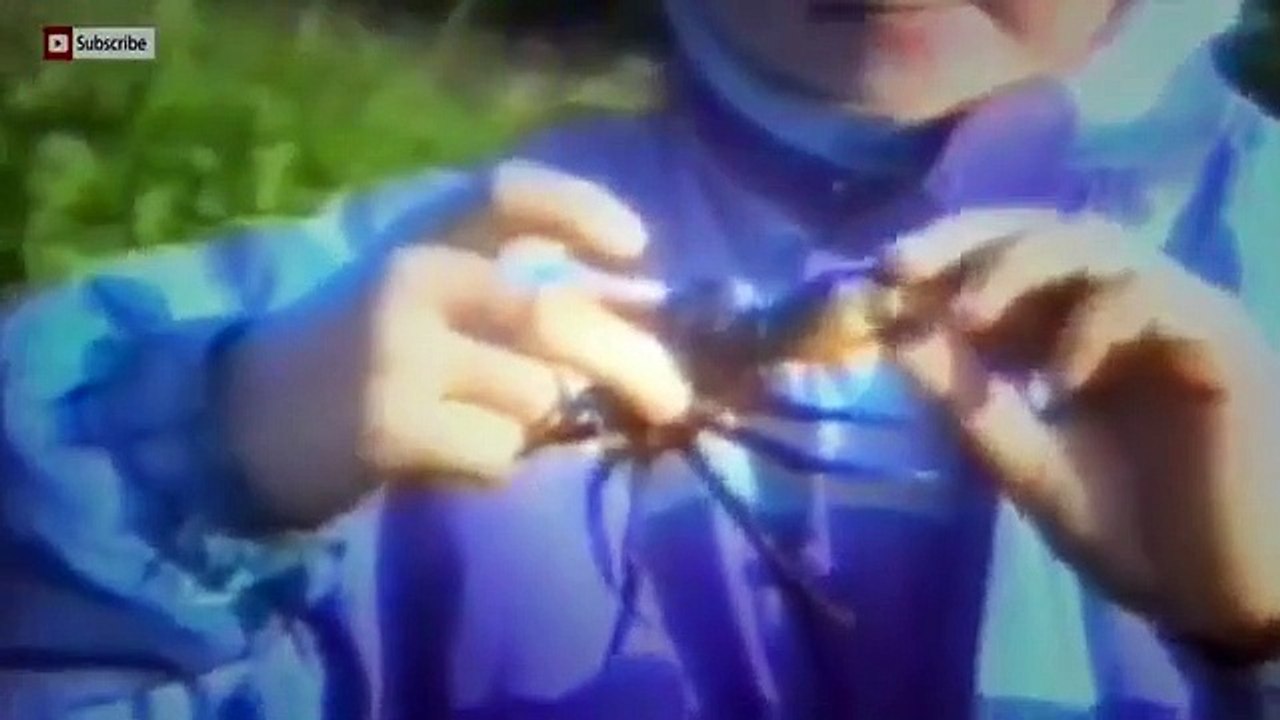 The funniest animals in the world !!