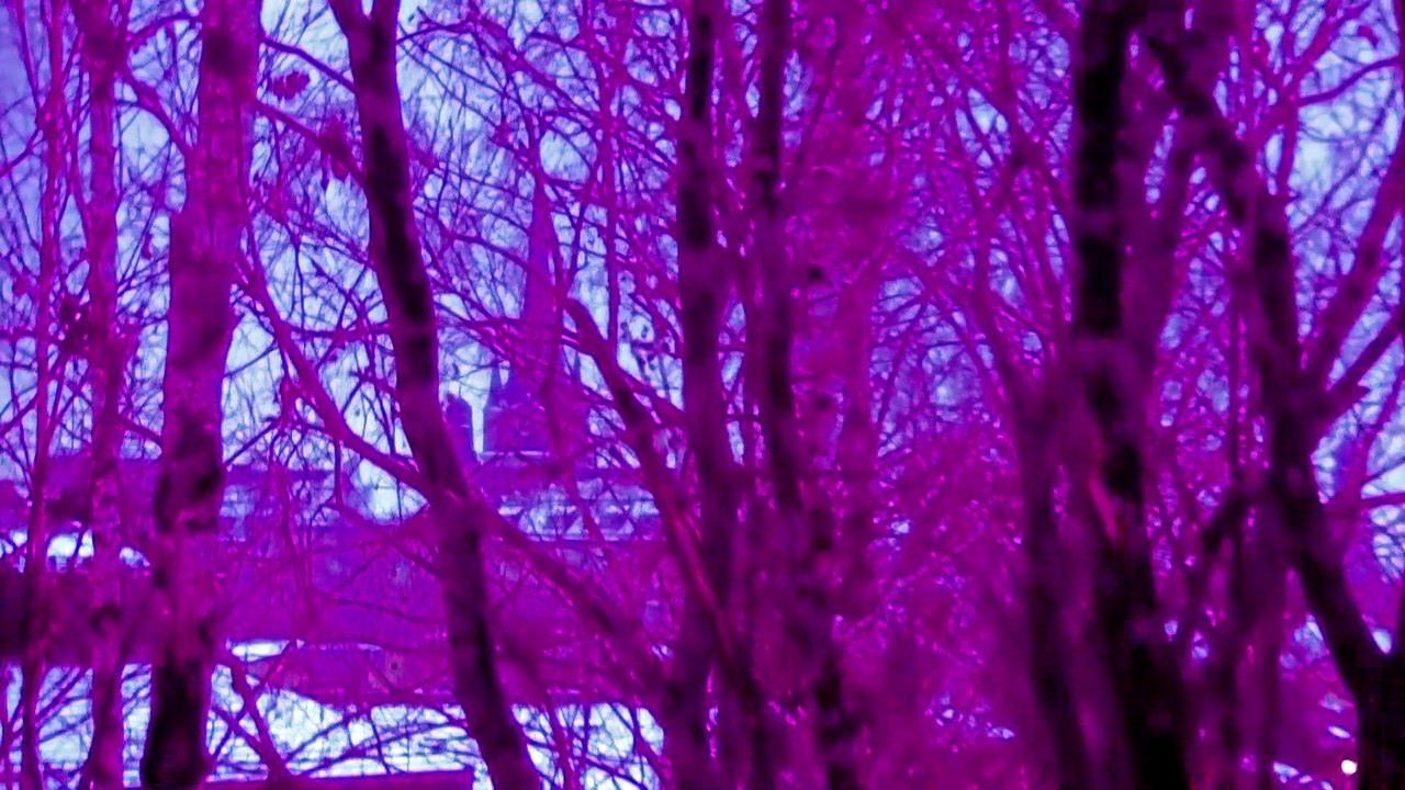 Nov 12 2019 DL1