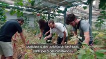 Les 5 Ponts sur l’île de Nantes : une micro- ferme urbaine écologique et solidaire démonstratrice