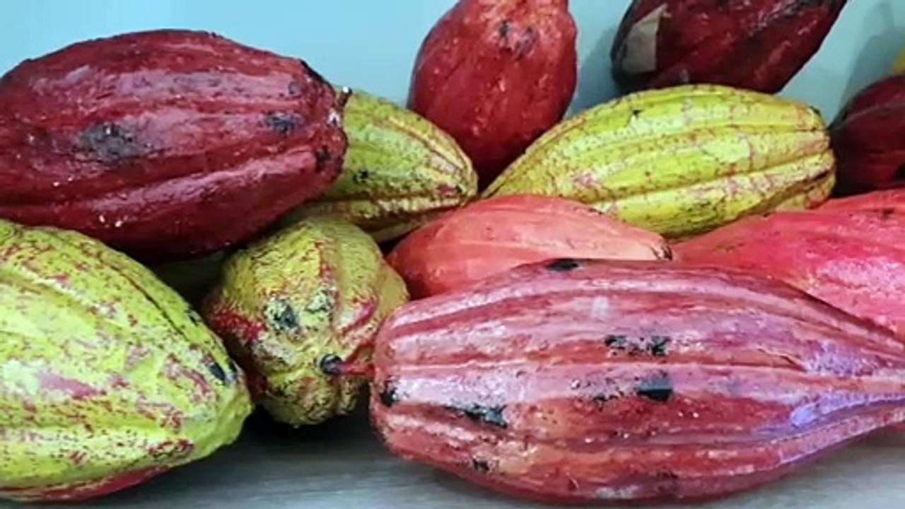 Choco Story, le musée du chocolat de Colmar ouvre ce vendredi