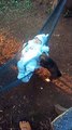 Puppy Lulls Baby in Hammock to Sleep