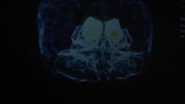 La Ciudad de las Artes y las Ciencias explora un viaje interactivo al origen del lenguaje