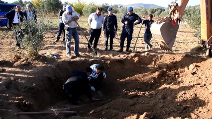 Zeytinlikte 2 bin 500 yıllık tarihi eser bulundu