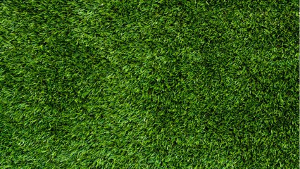 Vos Questions Jardin: Comment combler les trous dans un gazon fraîchement semé