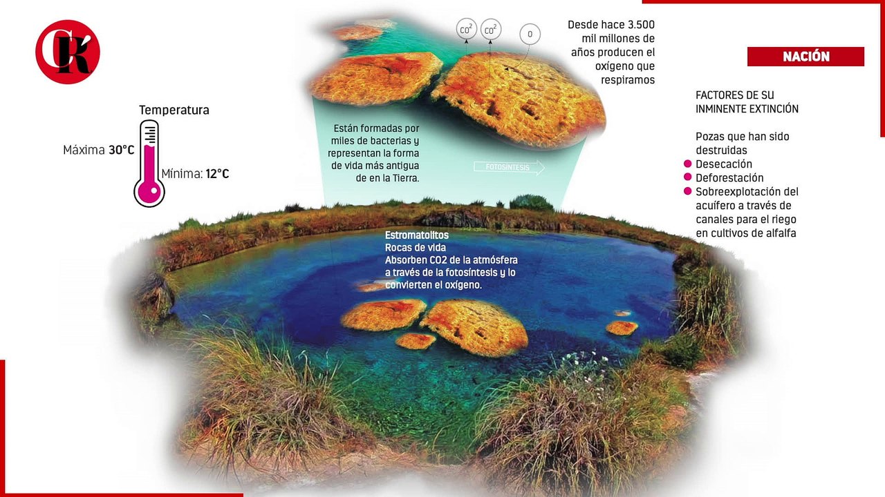 Cuatro ciénegas