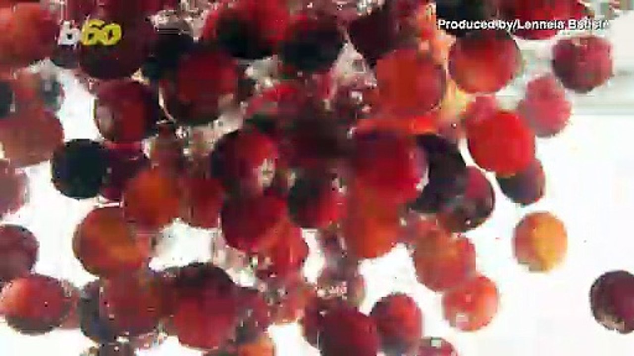 Why Do We Eat Cranberry Sauce for Thanksgiving?