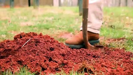 Cox Law Group PLLC: Digging Out of Debt - Lynchburg, VA