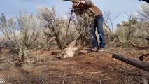 Ce trappeur vient libérer un puma coincé dans un piège