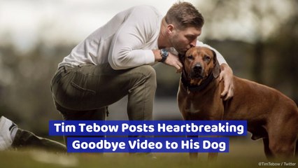 Tim Tebow Loves His Dog
