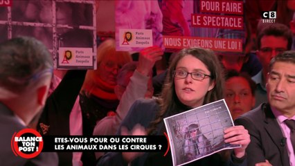 Amandine Sanvisens, co-fondatrice et présidente de l'association Paris Zoopolis