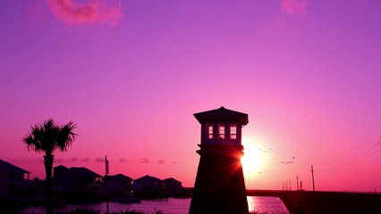 "Birds&Butterflies“ - dkoolmusic