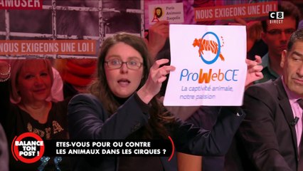 Amandine Sanvisens, co-fondatrice et présidente de l'association Paris Zoopolis lance un appel