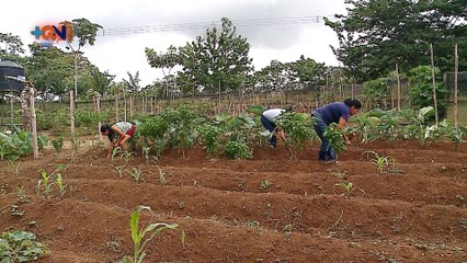 mqn-la-virgen-los-chiles-211119