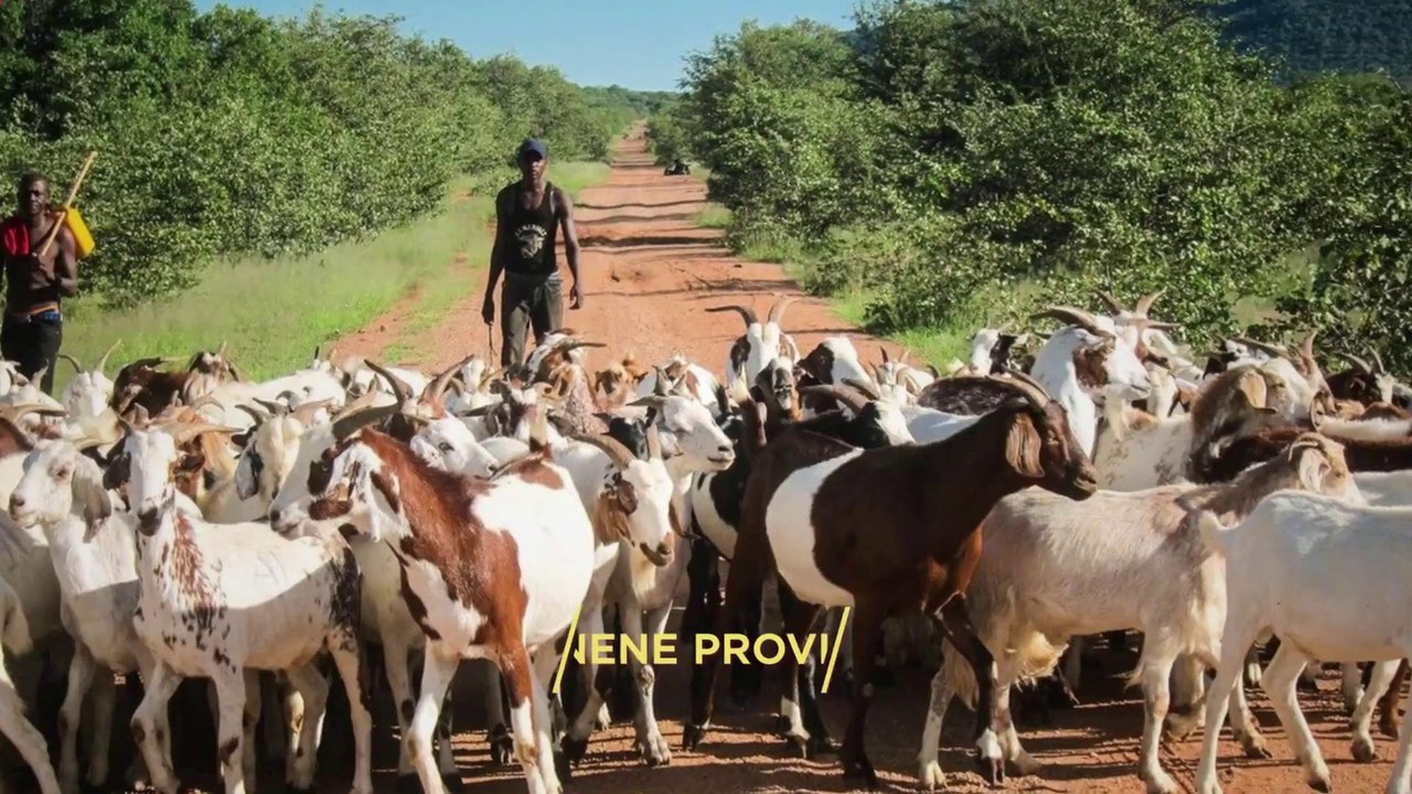 "CUNENE PROVINCE" Top 6 Tourist Places | Cunene Province Tourism | ANGOLA