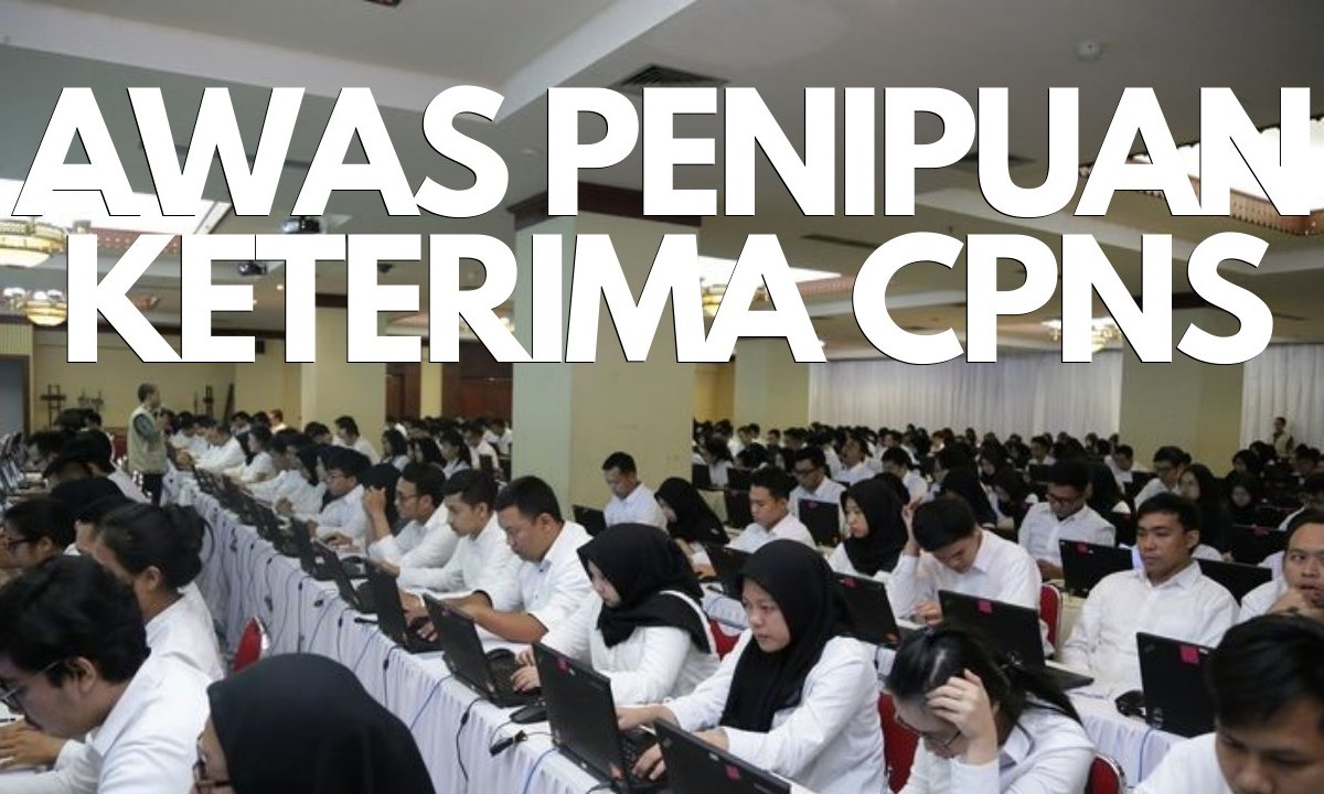 CPNS 2019, Waspada Modus Penipuan Penerimaan Seleksi CPNS