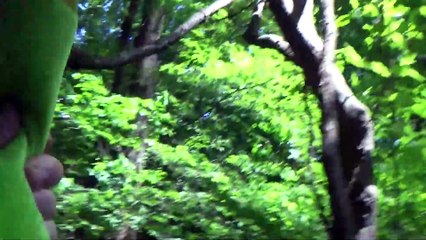 The Webkinz Show - MAZIN' Memory Lane