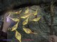 The Elder Scrolls V Skyrim (Modded Skyrim 200+ mods): Genie of the Lamp Follower Shiri