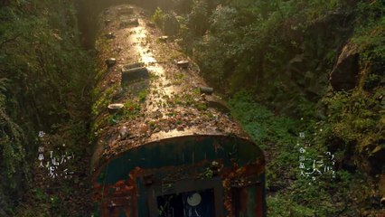 彩虹的重力 36 | The Gravity of A Rainbow 36（高以翔、宣璐、張亮等主演）