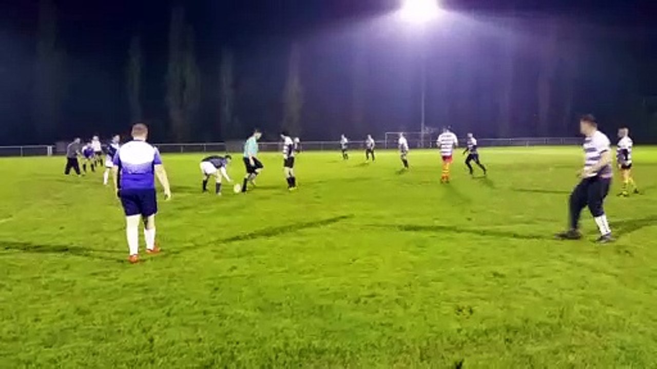 TOXIII vs les zèbres