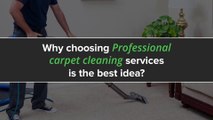 Why choosing professional carpet cleaning services is the best idea?
