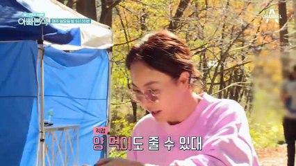 [선공개] '노란색 눈이 내리는 것 같아요' 감성 충만 대용이!