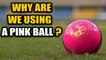 India-Bangladesh Day-Night test match: Why is a pink ball being used? | Oneindia News