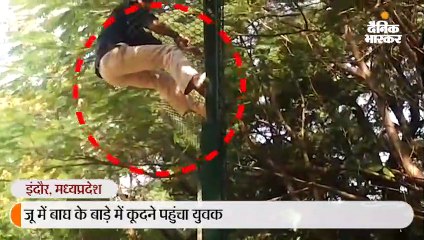 बाघ के बाड़े में कूदने पहुंचा युवक