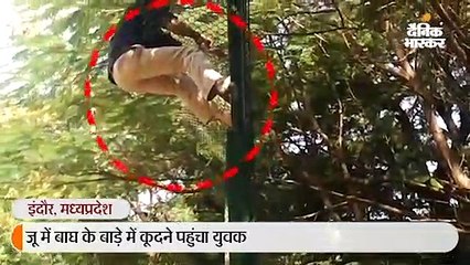 बाघ के बाड़े में कूदने पहुंचा युवक