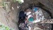 Indian civet cat trapped in an abandoned well saved by local rescuers in southern India