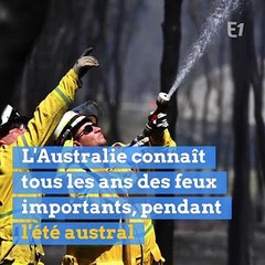 À cause des incendies en Australie, Sydney suffoque