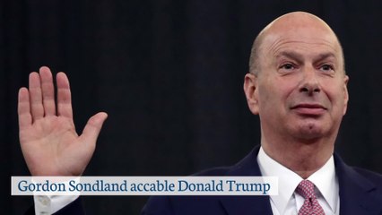 Les témoignages de Gordon Sondland accablent Donald Trump