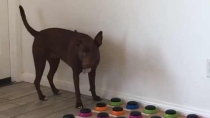 இனிமே நாய் கோபமா பேசினாலும் ஆச்சர்யப்படுறதுக்கு   இல்ல பாஸ்!