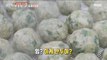 [TASTY] Round dumplings, 생방송오늘저녁 20191122
