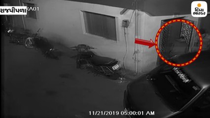 રાજપીપળાની રામબાગ સોસાયટીમાં 5 ઘર સહિત 8 સ્થળોએ તસ્કરો ત્રાટક્યા, CCTVમાં કેદ