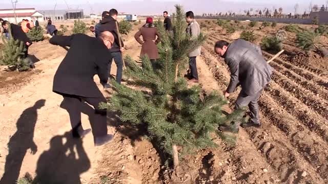 ETÜ'de ağaç dikimi etkinliği düzenlendi