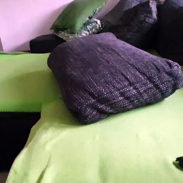 Wildes Tier , total crazy