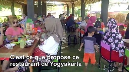 Dîner avec "fish pédicure" au menu dans un restaurant indonésien