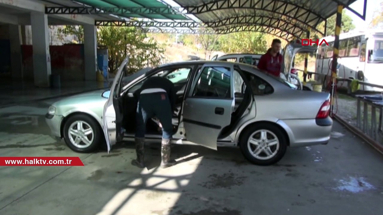 Motora giren yavru kediler için seferberlik