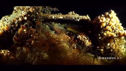 Umweltschützer schlagen Alarm: Tonnenweise Munition im Genfer See