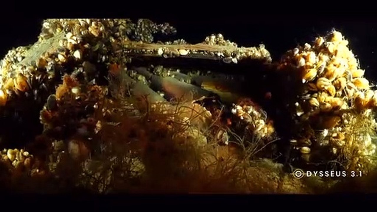 Umweltschützer schlagen Alarm: Tonnenweise Munition im Genfer See