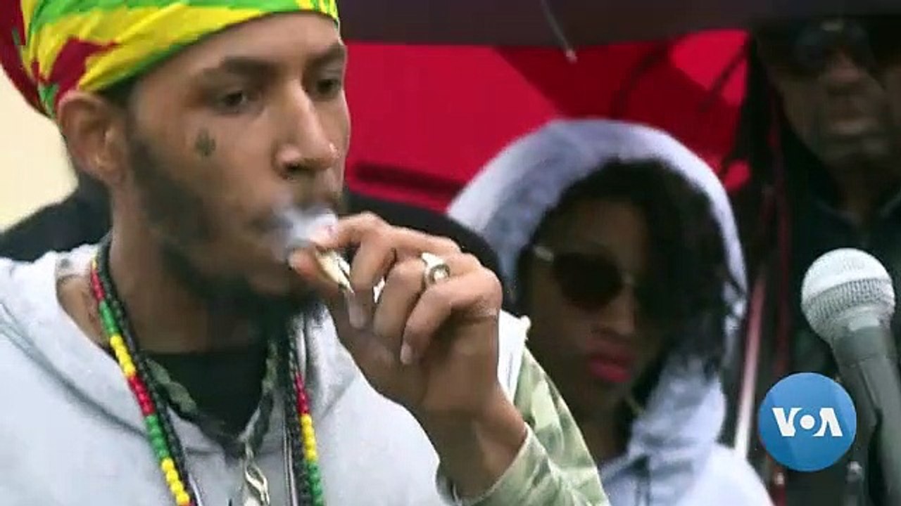 Farmers in US Embrace Hemp After Legalization