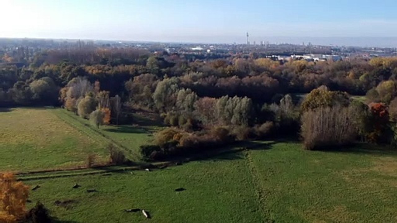 le comte 20191117 automne 03