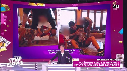 Booba, Karim Benzema, M. Pokora : Quand les stars font polémiques avec des animaux