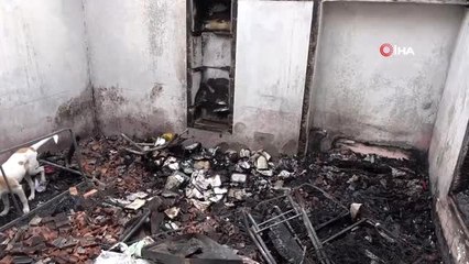 Evleri yanınca 15 kedi ve 2 köpeğiyle birlikte evsiz kaldı