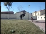 Street stunts Burgos