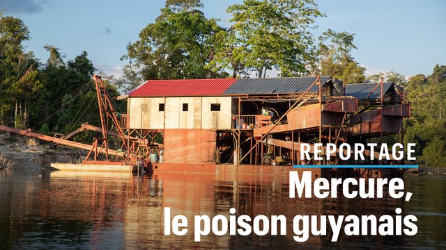Chercheurs d'or : avec le mercure, ils empoisonnent la Guyane