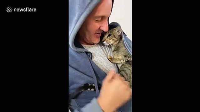 Cold cat cuddles inside Mexican man's hoodie