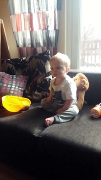 Adorable : la réaction de ce petit quand il entend la musique de ses films préférés