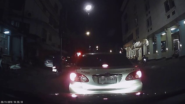 Fleeing Animal Crashes into Car