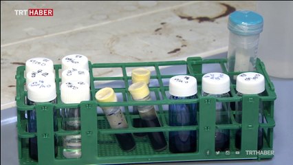 Türk bilim insanlarından dolandırıcılığın önüne geçecek yeni yöntem